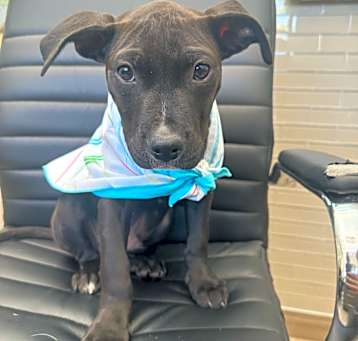 Photo of Captain