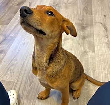 Photo of Mr. Thursday 