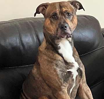 Photo of Duke