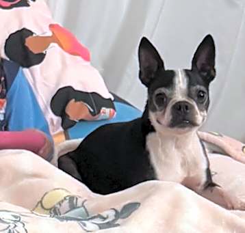 Photo of Mimi