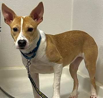 Photo of Snacks-In a Foster Home