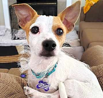 Photo of Ricky