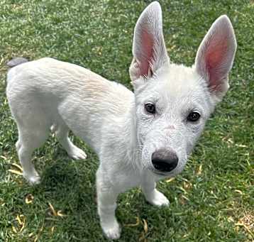 Photo of Elsa