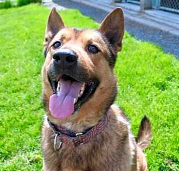 Photo of Roscoe