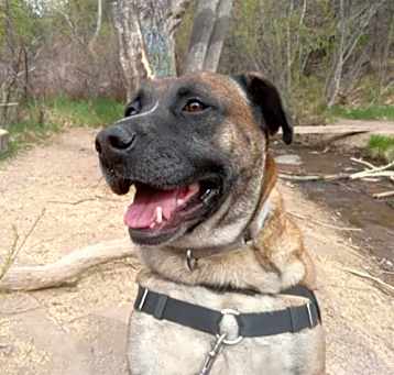 Photo of WAYLEN