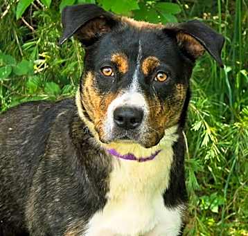 Photo of LEX