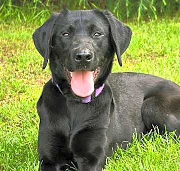Photo of ABBY