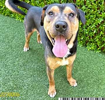 Photo of APOLLO