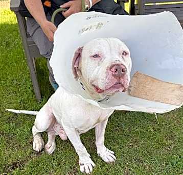 Photo of *BUBBA