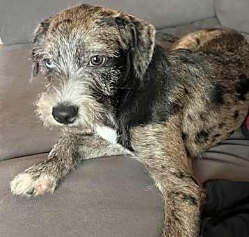 Photo of Bentley
