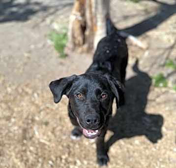 Photo of Tucker