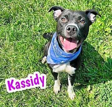 Photo of Kassidy