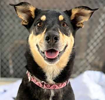 Photo of Zula