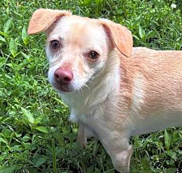 Photo of Teddy