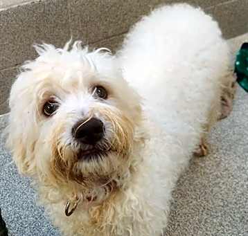 Photo of POLO