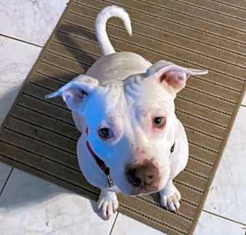 Photo of Mabel