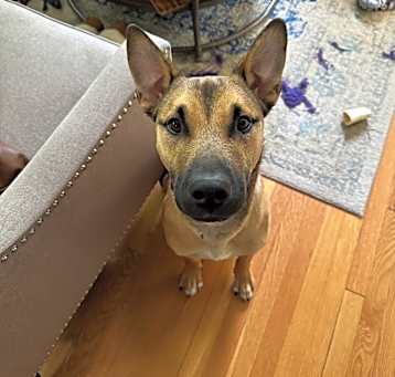 Photo of Charlie