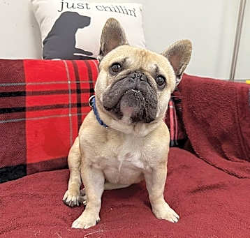 Photo of Oster