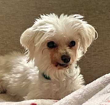 Photo of Moxy
