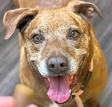 Photo of Macie Rose