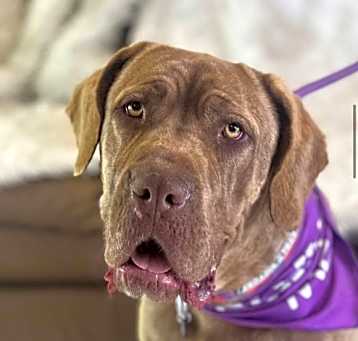 Photo of Sandy