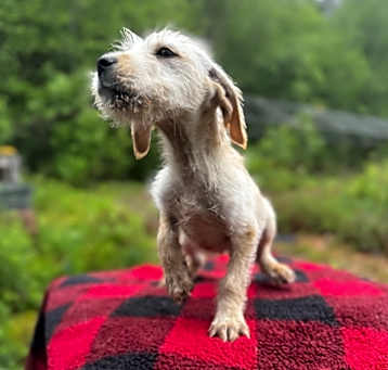 Photo of Blizzard