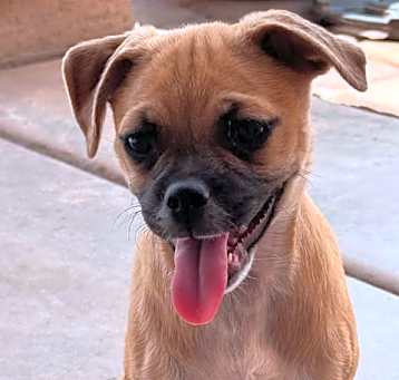 Photo of Lizzy