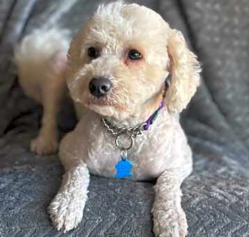 Photo of Winnie