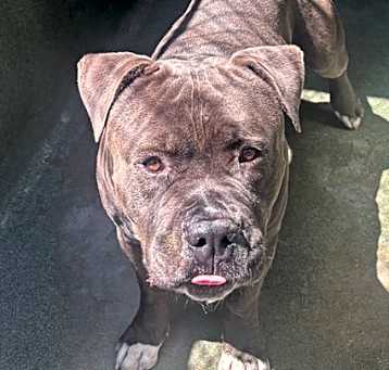 Photo of A5694280