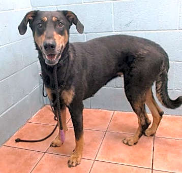 Photo of BELLA