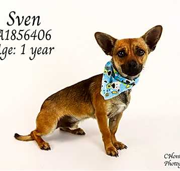 Photo of SVEN
