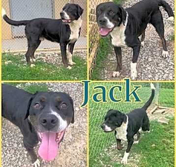 Photo of Jack