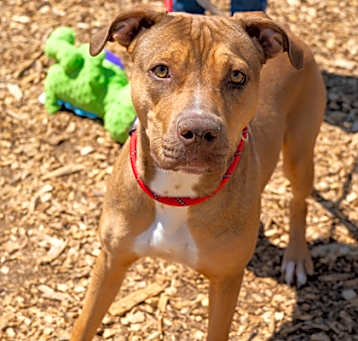 Photo of Jingle