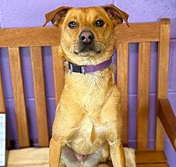 Photo of **TRIPP**