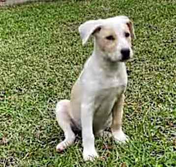 Photo of Holly