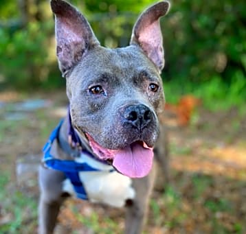 Photo of Monty