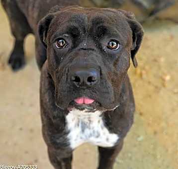 Photo of BLEPPY