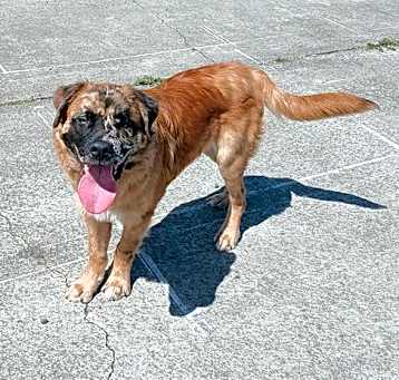 Photo of SNICKERS