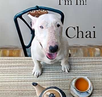 Photo of Chai