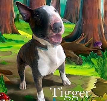 Photo of Tigger
