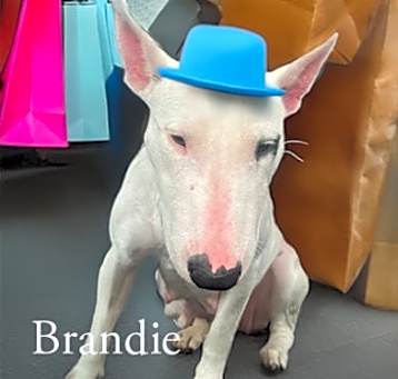 Photo of Brandie