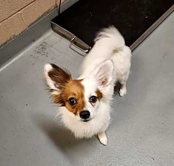 Photo of ZIIGGY