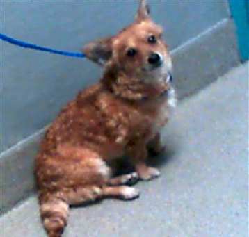 Photo of MUNECA