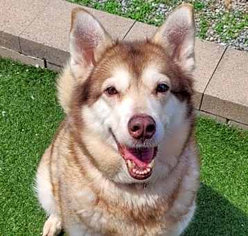Photo of Keiko