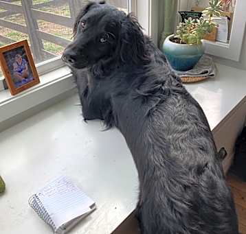 Photo of Rudy
