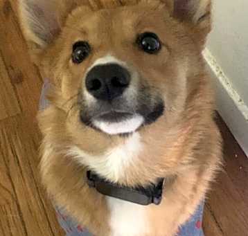 Photo of Toast