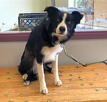 Photo of FINLEY