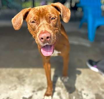 Photo of Reno