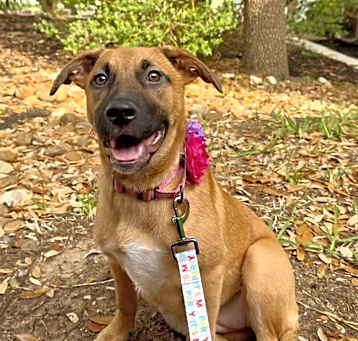 Photo of Blair Bear