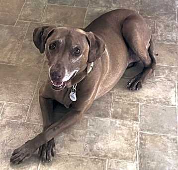 Photo of Barb